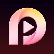 Playlet Logo
